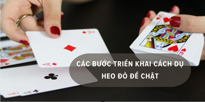 Người chơi có thể áp dụng phương pháp dụ heo đỏ hiệu quả